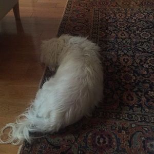 Meet your Posher, Jack